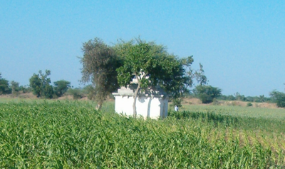 Temple view 2
